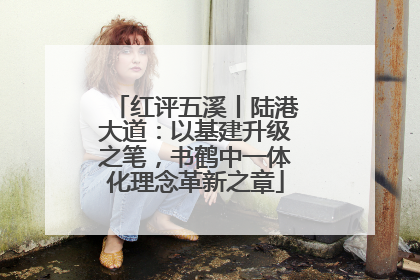 红评五溪丨陆港大道：以基建升级之笔，书鹤中一体化理念革新之章