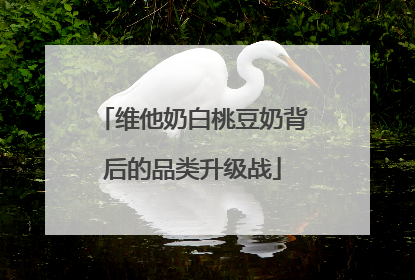 维他奶白桃豆奶背后的品类升级战