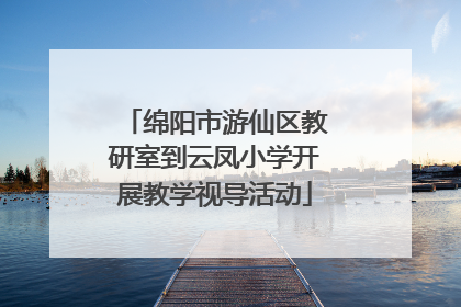 绵阳市游仙区教研室到云凤小学开展教学视导活动
