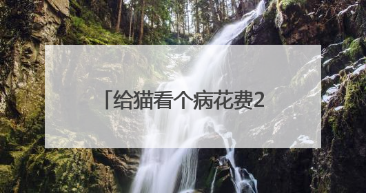 给猫看个病花费2000多元！宠物医疗行业存在乱象，业内人士呼吁→