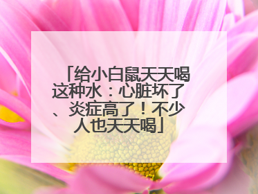 给小白鼠天天喝这种水：心脏坏了、炎症高了！不少人也天天喝