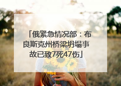 俄紧急情况部：布良斯克州桥梁坍塌事故已致7死47伤