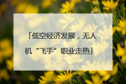 低空经济发展，无人机“飞手”职业走热