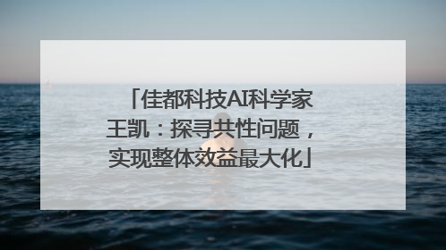 佳都科技AI科学家王凯：探寻共性问题，实现整体效益最大化