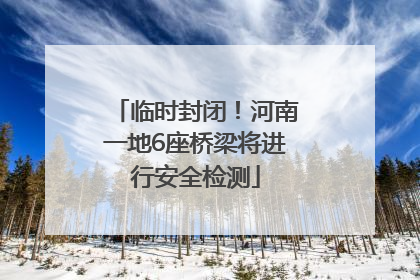 临时封闭！河南一地6座桥梁将进行安全检测