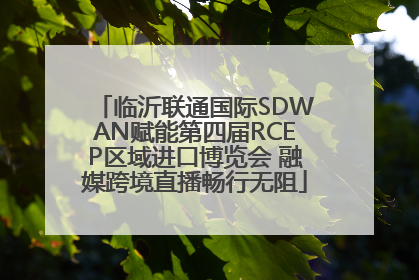 临沂联通国际SDWAN赋能第四届RCEP区域进口博览会 融媒跨境直播畅行无阻