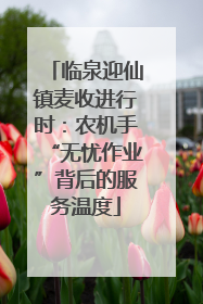 临泉迎仙镇麦收进行时：农机手“无忧作业”背后的服务温度