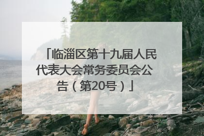 临淄区第十九届人民代表大会常务委员会公告（第20号）