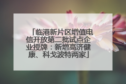 临港新片区增值电信开放第二批试点企业授牌：新增高济健康、科戈波特两家