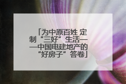 为中原百姓 定制“三好”生活——中国电建地产的“好房子”答卷