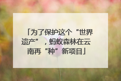 为了保护这个“世界遗产”，蚂蚁森林在云南再“种”新项目