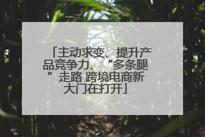 主动求变、提升产品竞争力、“多条腿”走路 跨境电商新大门在打开