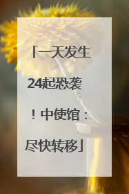 一天发生24起恐袭！中使馆：尽快转移