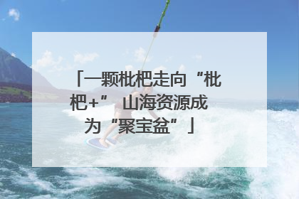 一颗枇杷走向“枇杷+” 山海资源成为“聚宝盆”