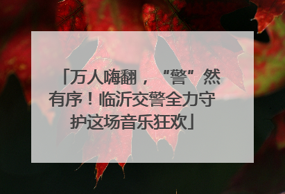 万人嗨翻，“警”然有序！临沂交警全力守护这场音乐狂欢