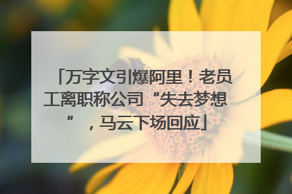 万字文引爆阿里！老员工离职称公司“失去梦想”，马云下场回应