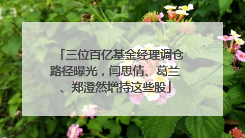 三位百亿基金经理调仓路径曝光，闫思倩、葛兰、郑澄然增持这些股