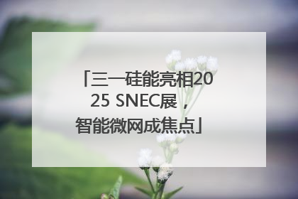 三一硅能亮相2025 SNEC展，智能微网成焦点