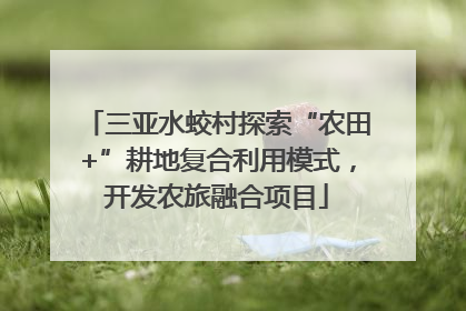 三亚水蛟村探索“农田+”耕地复合利用模式，开发农旅融合项目