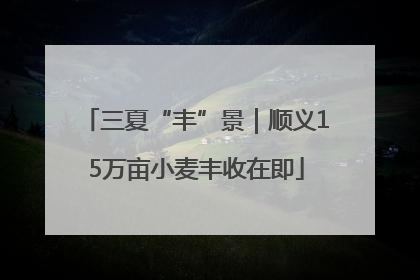 三夏“丰”景｜顺义15万亩小麦丰收在即