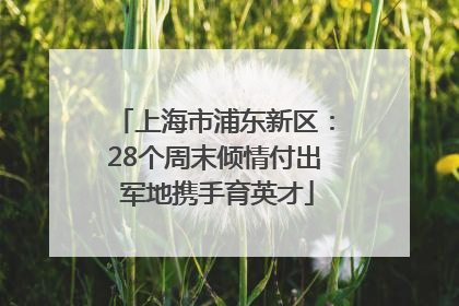 上海市浦东新区：28个周末倾情付出 军地携手育英才