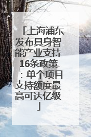 上海浦东发布具身智能产业支持16条政策：单个项目支持额度最高可达亿级
