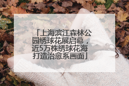 上海滨江森林公园绣球花展启幕，近5万株绣球花海打造治愈系画面