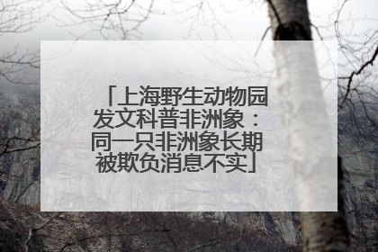 上海野生动物园发文科普非洲象：同一只非洲象长期被欺负消息不实