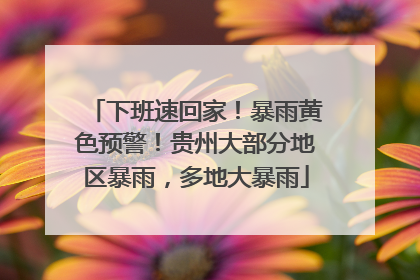 下班速回家！暴雨黄色预警！贵州大部分地区暴雨，多地大暴雨