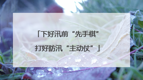 下好汛前“先手棋” 打好防汛“主动仗”