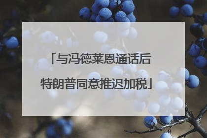 与冯德莱恩通话后 特朗普同意推迟加税