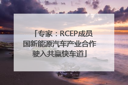 专家：RCEP成员国新能源汽车产业合作驶入共赢快车道