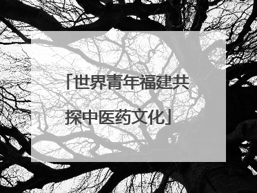 世界青年福建共探中医药文化