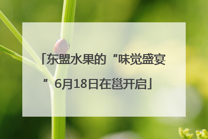 东盟水果的“味觉盛宴”6月18日在邕开启