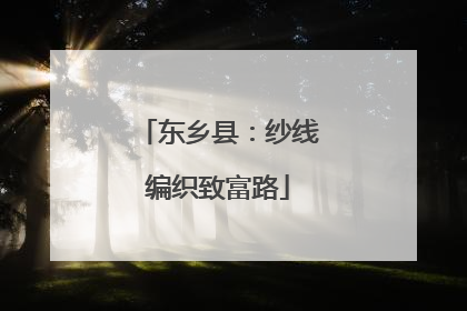 东乡县：纱线编织致富路