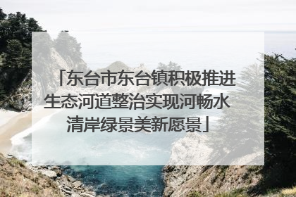东台市东台镇积极推进生态河道整治实现河畅水清岸绿景美新愿景