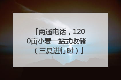 两通电话，1200亩小麦一站式收储（三夏进行时）