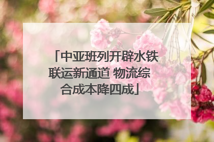 中亚班列开辟水铁联运新通道 物流综合成本降四成