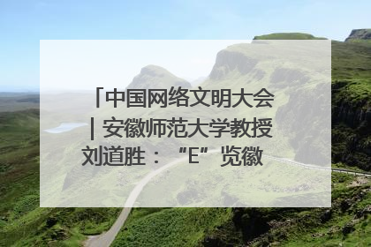 中国网络文明大会｜安徽师范大学教授刘道胜：“E”览徽风，构筑中华民族共有精神家园