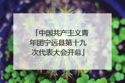 中国共产主义青年团宁远县第十九次代表大会开幕