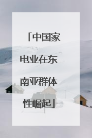 中国家电业在东南亚群体性崛起