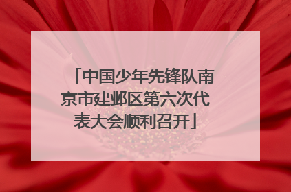 中国少年先锋队南京市建邺区第六次代表大会顺利召开
