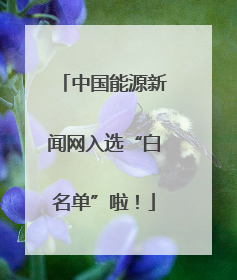 中国能源新闻网入选“白名单”啦！