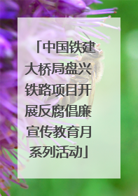 中国铁建大桥局盘兴铁路项目开展反腐倡廉宣传教育月系列活动