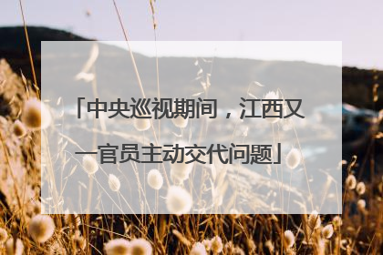 中央巡视期间，江西又一官员主动交代问题