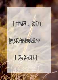 中超：浙江俱乐部绿城平上海海港