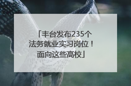 丰台发布235个法务就业实习岗位！面向这些高校