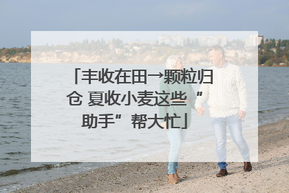 丰收在田→颗粒归仓 夏收小麦这些“助手”帮大忙