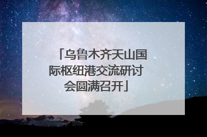 乌鲁木齐天山国际枢纽港交流研讨会圆满召开