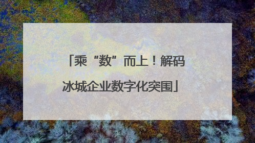 乘“数”而上！解码冰城企业数字化突围